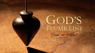 GOD'S PLUMB LINE:  DEAD OR ALIVE? episode artwork