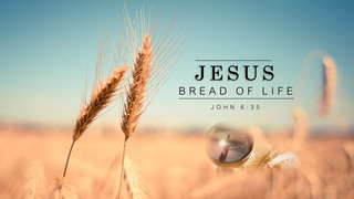Jesus Bread of Life episode artwork