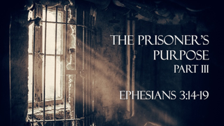 Prisoner's Purpose #3 episode artwork