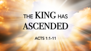 The KING Has Accended episode artwork