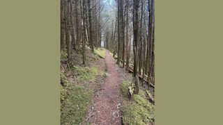 One Step at a Time - The Path to Perseverance - Roman 5:1-5 episode artwork