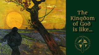 The Kingdom of God is like… The Kingdom of God is like…