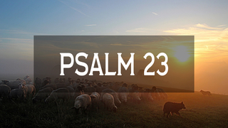 Confidence in the Lord (Psalm 23) episode artwork