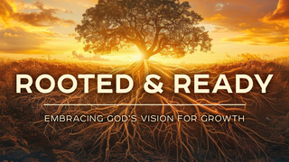 Rooted and Ready (The Moment to Step In)