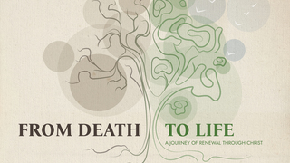 From Death to Life (Confession)