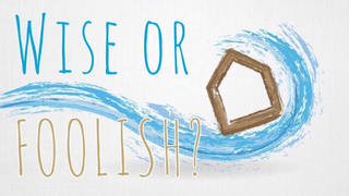 Wise or Foolish episode artwork