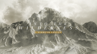Into the Wilderness Part 1 episode artwork