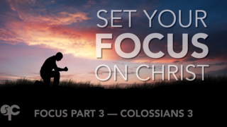 Focus Part 3 episode artwork