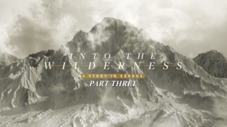 Into the Wilderness Part 3 episode artwork