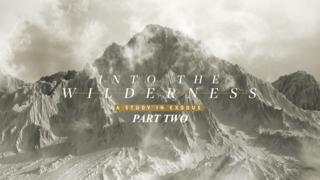 Into the Wilderness Part 2 episode artwork