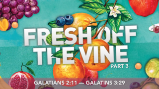 Fresh Off The Vine Part 3 episode artwork