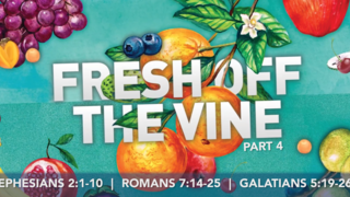 Fresh Off The Vine Part 4 episode artwork