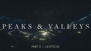 Peaks & Valleys Part 5 episode artwork