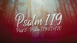 Psalm 119 Part 3 — Verses 81-120 episode artwork