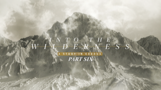 In the Wilderness Part 6 episode artwork