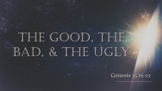 The Good, The Bad, & the Ugly