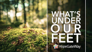 What Trees Teach Us About Living