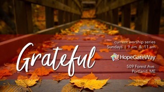 Gratitude is Both a Noun and Verb