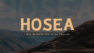 Emmaus Road Church in Appleton, WI