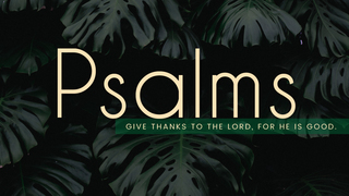 Emmaus Road Church in Appleton, WI