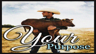 Your Purpose
