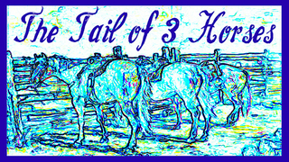 The Tail of 3 Horses