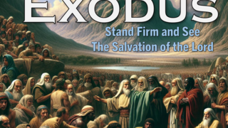 “The LORD Came Down on Mt Sinai”    Exodus 19