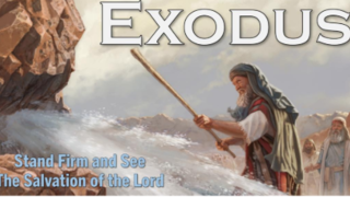 “You Shall Strike the Rock, and Water Will Come Out..”  Exodus 17:1-7
