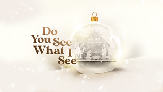 The Vine Church | Do You See What I See | December 20, 2020