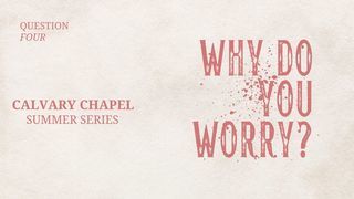 Questions Jesus Asked | Why Do You Worry?